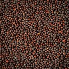 🌿 100% ORGANIC MUSTARD SEEDS (250g)