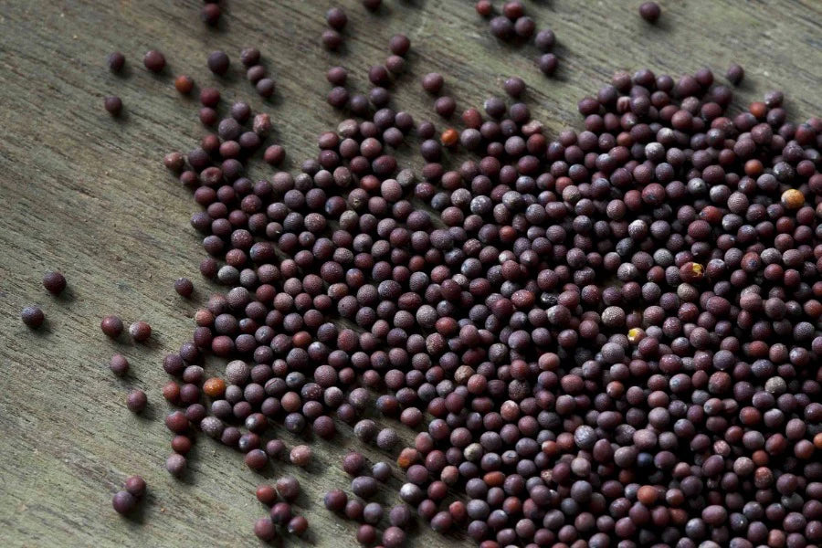 🌿 100% ORGANIC MUSTARD SEEDS (250g)