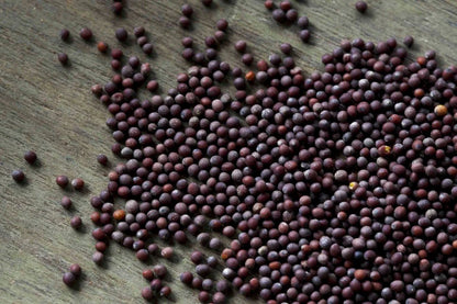 🌿 100% ORGANIC MUSTARD SEEDS (250g)