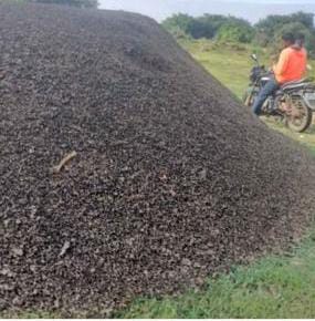 Sheep Manure Compost
