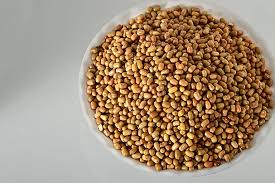 🌿 100% ORGANIC MOTH BEAN (MADKE / MATKI) (1kg)