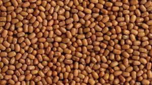 🌿 100% ORGANIC MOTH BEAN (MADKE / MATKI) (1kg)