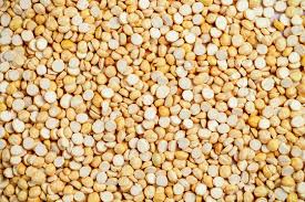 🌿 100% ORGANIC ROASTED BENGAL GRAM (PUTANI / HURIGADALE) (1kg)