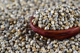 🌿 100% ORGANIC PEELI BAJRI (PEARL MILLET / BAJRA) (1kg)