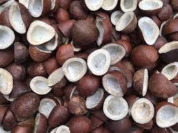 100% ORGANIC DRY COCONUT (DESICCATED COPRA) (200g)