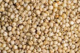 🌿 100% ORGANIC WHITE SORGHUM (WHITE JOWAR) (1kg)