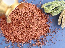 🌿 100% ORGANIC RAGI (FINGER MILLET) (1kg)