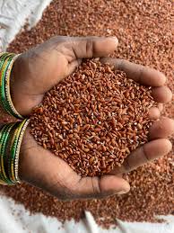 🌿 100% ORGANIC KULAKAR RICE (TAMIL NADU SPECIAL TRADITIONAL RED RICE) (1kg)