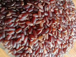 🌿 100% ORGANIC KULAKAR RICE (TAMIL NADU SPECIAL TRADITIONAL RED RICE) (1kg)