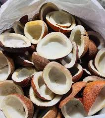 100% ORGANIC DRY COCONUT (DESICCATED COPRA) (200g)