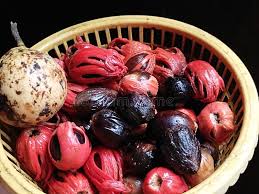 🌿 100% ORGANIC JAVITRI (MACE) – NUTMEG FLOWER (100g)