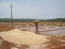 🌿 100% ORGANIC UNBLEACHED SANIKATTA SEA SALT POWDER (500g)