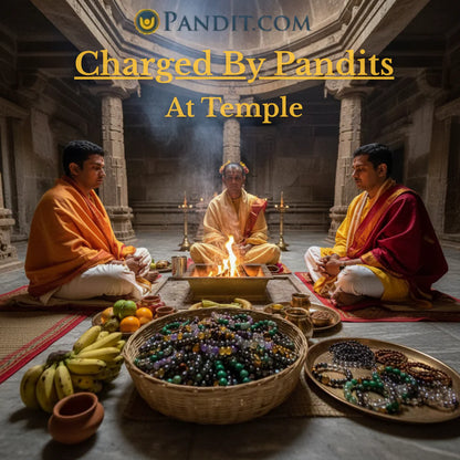 Money Magnet Bracelet (With Original Golden Pyrite)