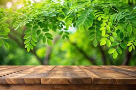 Fresh Moringa Leaves (Drumstick Leaves)