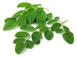 Fresh Moringa Leaves (Drumstick Leaves)