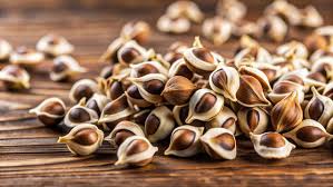 🌿 Premium Moringa Seeds – Nature’s Superfood Powerhouse 🌿