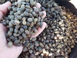 Sheep Manure Compost