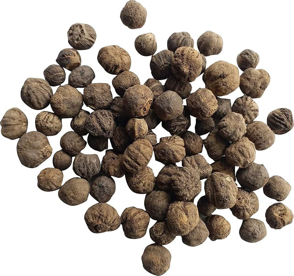 Premium Teak Seeds