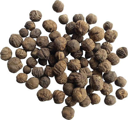 Premium Teak Seeds